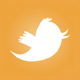 ice upon fire twitter
